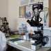 Continuiamo a raffigurare a mano gli insetti - sottolinea il docente -: la fotografia infatti non riesce a mettere a fuoco i dettagli di soggetti di piccolissime dimensioni che noi naturalmente osserviamo con il microscopio